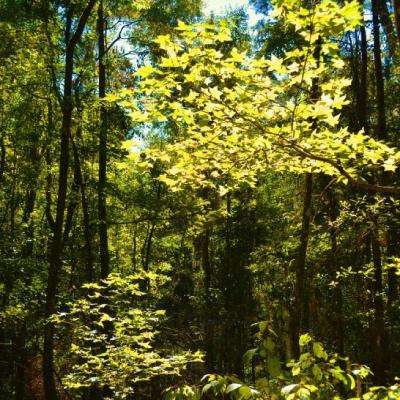 爱游戏手机app下载